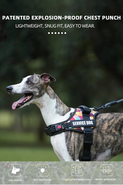 Pet Customizable Harness Vest For Small Medium Large Dog Classic Luxury Walking Dog Harness Adjustable No pull Safe Pet Supplies