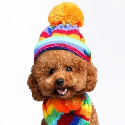 Dog Winter Wear 1 Set(hat+scarf+leg Warmers) Rainbow Stripe Knitted Dog Scarf Winter Warm Hat Footwear Sloves Pet Clothes