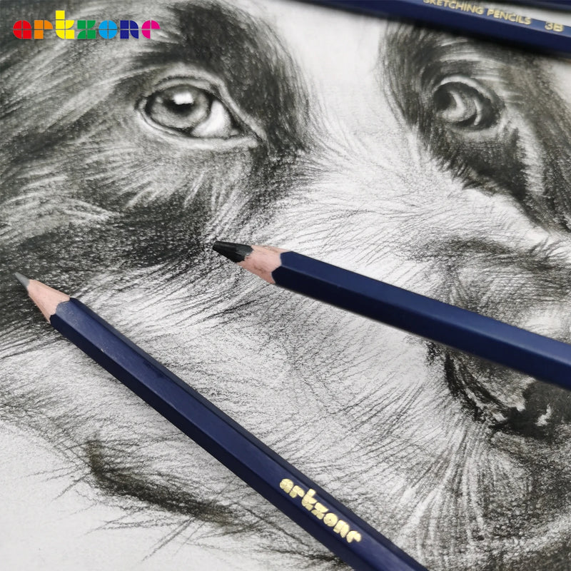 Professional Drawing Sketching Pencil Set, 12pcs Graphite Pencils, 6H-12B, Ideal for Drawing Art, Sketching, Shading, Artist Pen