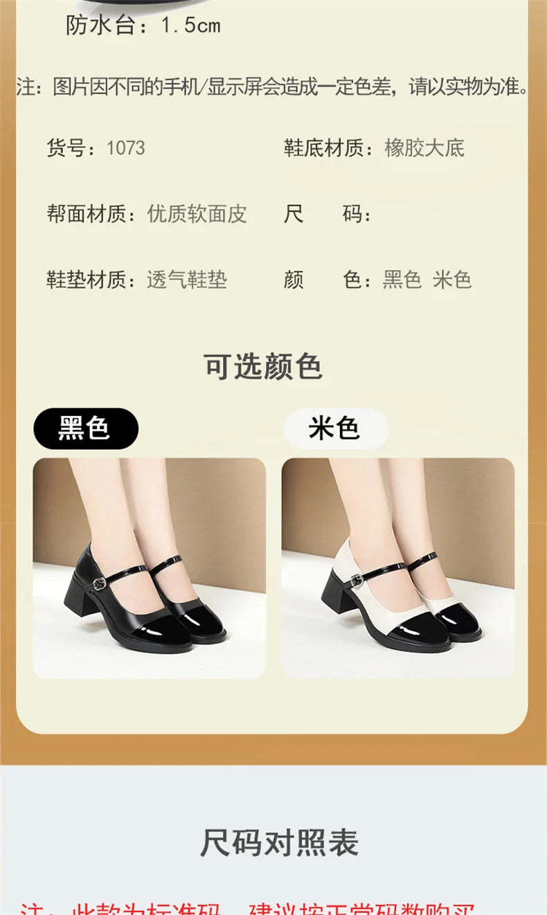 Women Shoes 2024 New Fashion Retro Round Toe Soft Leather Casual Mary Jane Shoes Shallow Mouth Waterproof Platform Shoes