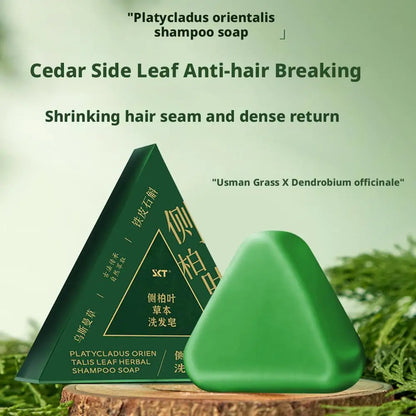 Shampoo Bar Platycladus Orientalis Natural Herbal Soap For Hair Loss Controls Oil Strengthens Root Shampoo Soap Hair Accessories
