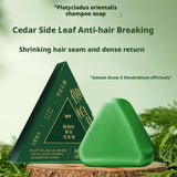 Shampoo Bar Platycladus Orientalis Natural Herbal Soap For Hair Loss Controls Oil Strengthens Root Shampoo Soap Hair Accessories