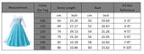Elsa Anna Kid Princess Girls Dress Rapunzal  Kids Cosplay Halloween Vestidos Children Costume Birthday Party Dress