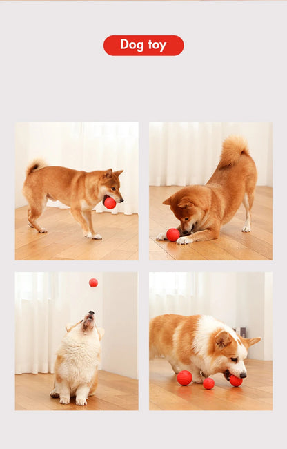 MADDEN S-XL Sizes Solid Rubber Balls Bouncy Ball Bite Resistant Indestructible Dog Training Interactive Ball Pet Toy Molar Ball