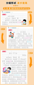 Primary School Students' Writing Training, Comprehensive Chinese Language Exercises