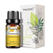 Chamomile