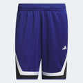 Adidas 2025 Men's PRO BLOCK SHORT Knitted Shorts IX1839