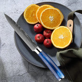 XITUO Juego de cuchillos de cocina de 1 a 8 piezas, mango de resina azul para cuchillo de chef, cuchillo de pelar, cuchillo de deshuesar, cuchillo Santoku, afilado como una navaja