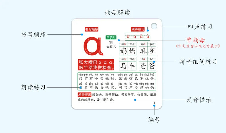 Pinyin cards, children's initial consonants, vowels, whole recognition, syllable learning cards, letter cards