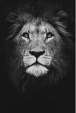 Canvas Painting Animal Wall Art Lion Elephant Hippo Zebra Poster And Modern Minimalist Photo Wall Living Room Bedroom Decoration