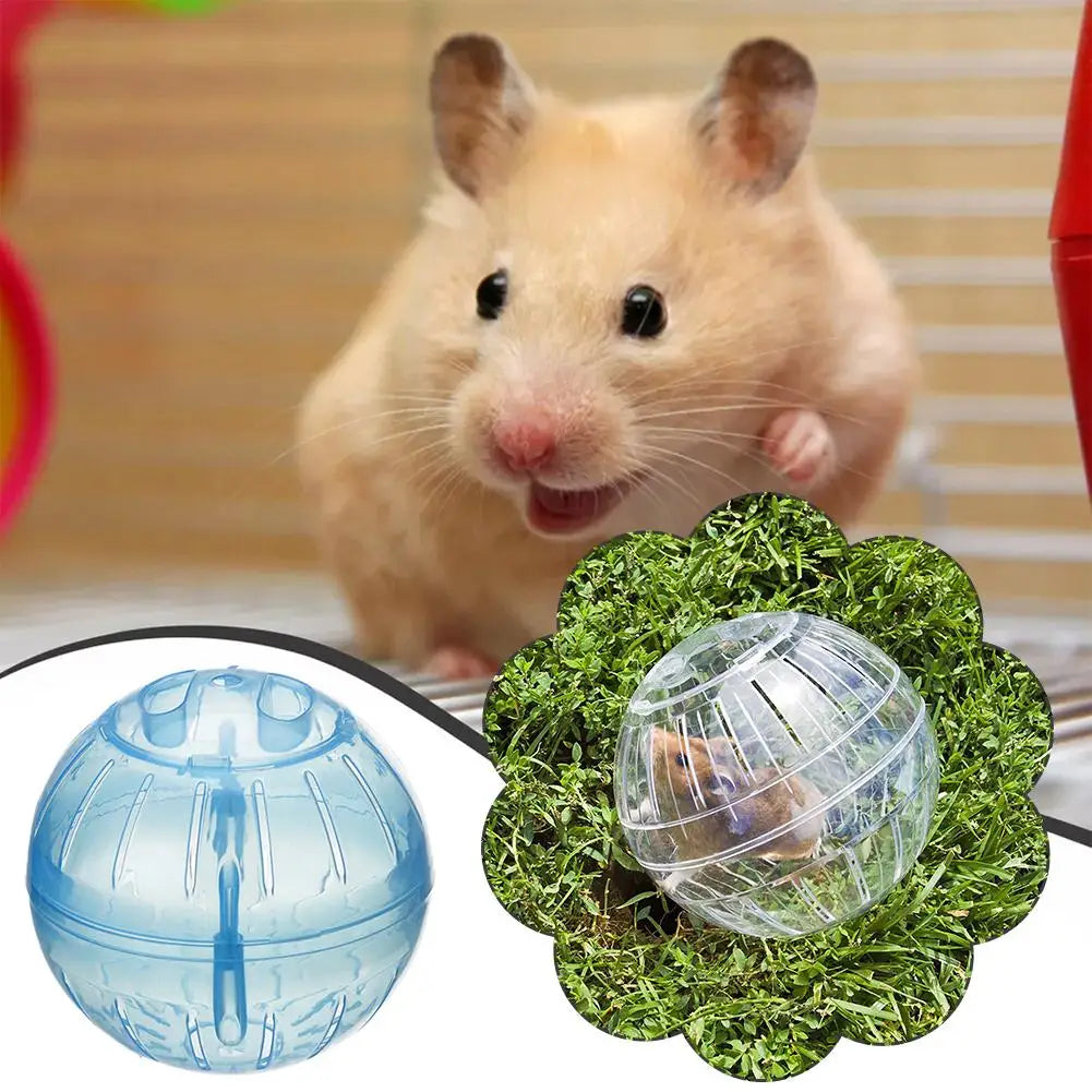 Transparent Acrylic Hamster Exercise Wheel Escape Proof Small Safe Portable Lightweight Multi Activity Pet Cage Design P5F9