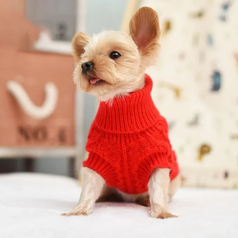 Roupa tricotada de inverno para cães pequenos e médios, suéter Chihuahua Puppy, suéter Yorkshire Pure Dog