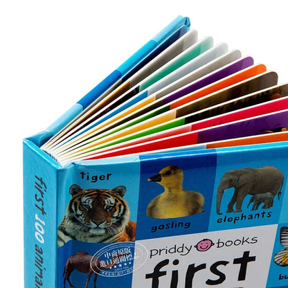Montessori First 100 English Words Learning Cardboard Book Animals Colors Numbers Language Physical Picture Teaching Aids