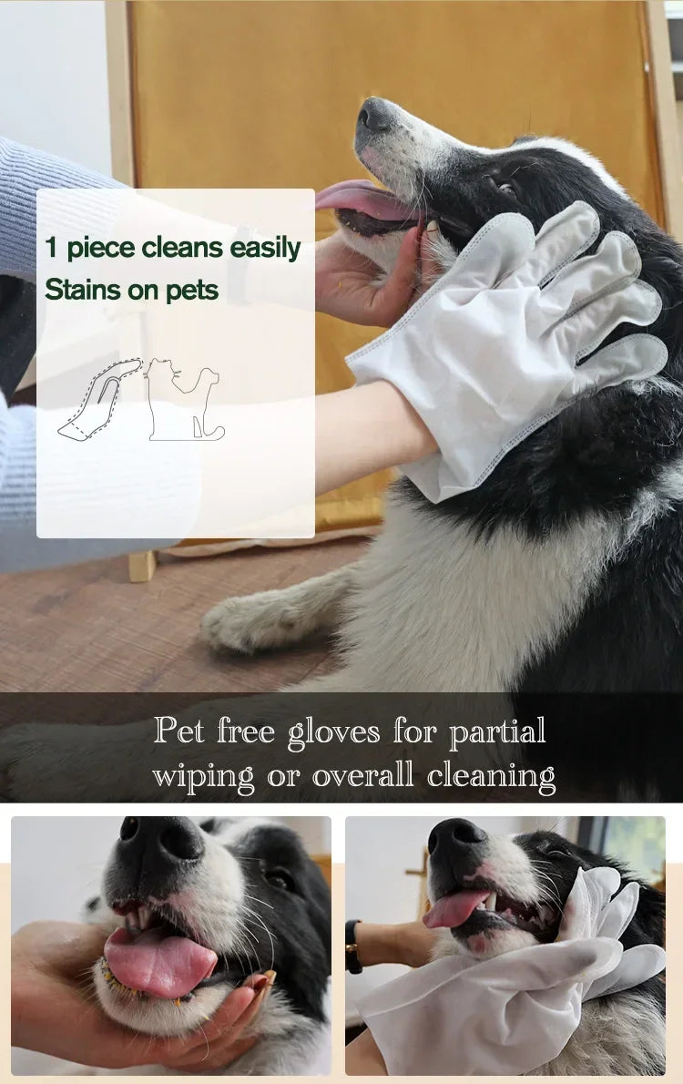 6PCS Cat Dog Disposable Glove Towels Pet Wash Free Glove No Rinse Washing Gloves Towels Deodorizing Dry Cleaning Wet Towels