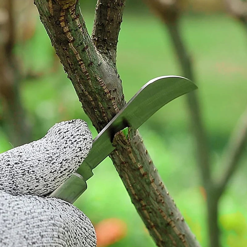 Cuchillo de injerto de jardín, cuchillo de podar de acero inoxidable con mango de madera, cinta para injertar, herramientas para árboles frutales, herramienta de injerto de jardinería