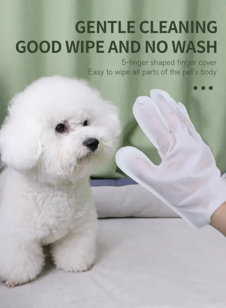 6PCS Cat Dog Disposable Glove Towels Pet Wash Free Glove No Rinse Washing Gloves Towels Deodorizing Dry Cleaning Wet Towels