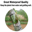 Stretchable auto-adesivo Degradable Nursery Enxerto Tape Roll, transparente, fita vegetal, transparente, poda, 3 4cm x 200m