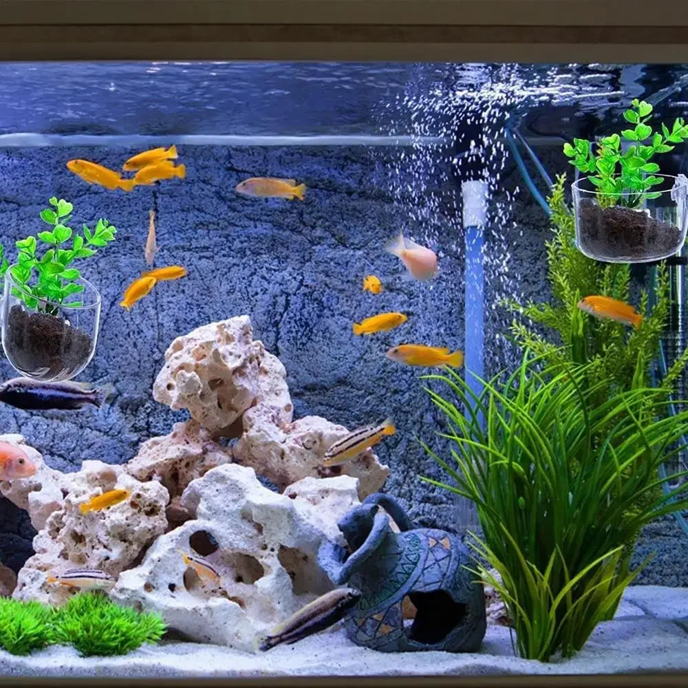 Fish Waterweed Nursery Pot Glass Aquarium Decoration Pot Polka Water Potted Aquatic Planting Cylinder Cup Aquarium Accessories