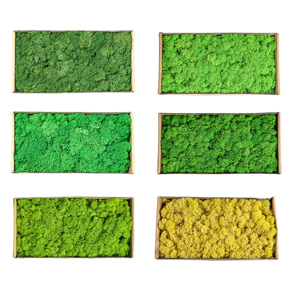 Artificial Green Plants Eternal Life Moss DIY Crafts Grass Garden Home Room Decor Mini Landscape Fake Grass 20/40/100g