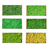 Artificial Green Plants Eternal Life Moss DIY Crafts Grass Garden Home Room Decor Mini Landscape Fake Grass 20/40/100g
