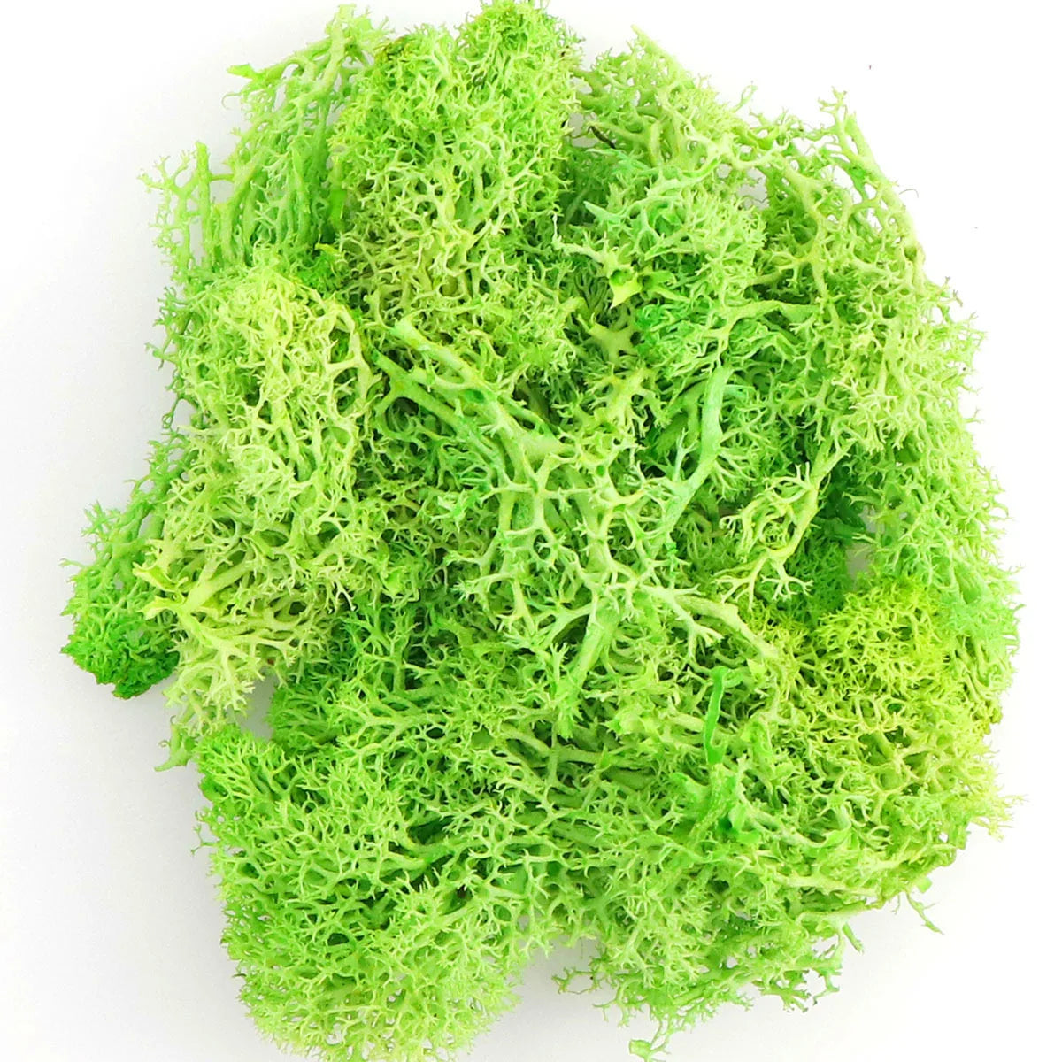 Artificial Green Plants Eternal Life Moss DIY Crafts Grass Garden Home Room Decor Mini Landscape Fake Grass 20/40/100g