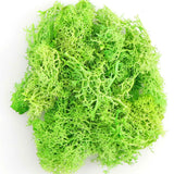 Artificial Green Plants Eternal Life Moss DIY Crafts Grass Garden Home Room Decor Mini Landscape Fake Grass 20/40/100g