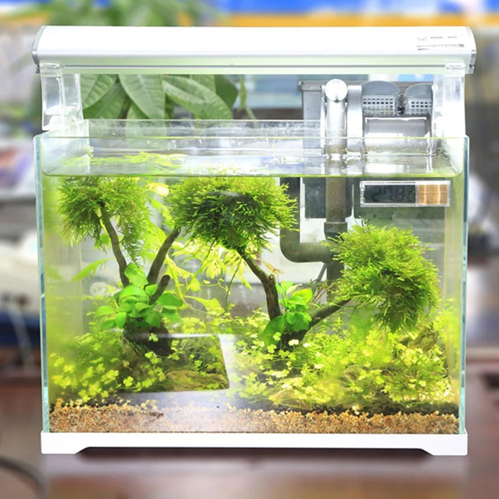 Termómetro electrónico digital 3D para acuario, resistente al agua y con pantalla LCD, para medir la temperatura de peces y tortugas.