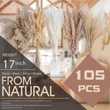 105pcs Natural Dried Flowers Pampas Floral Bouquet Boho Country Home Decoration Rabbit Tail Grass Reed Wedding Decor Arrangement