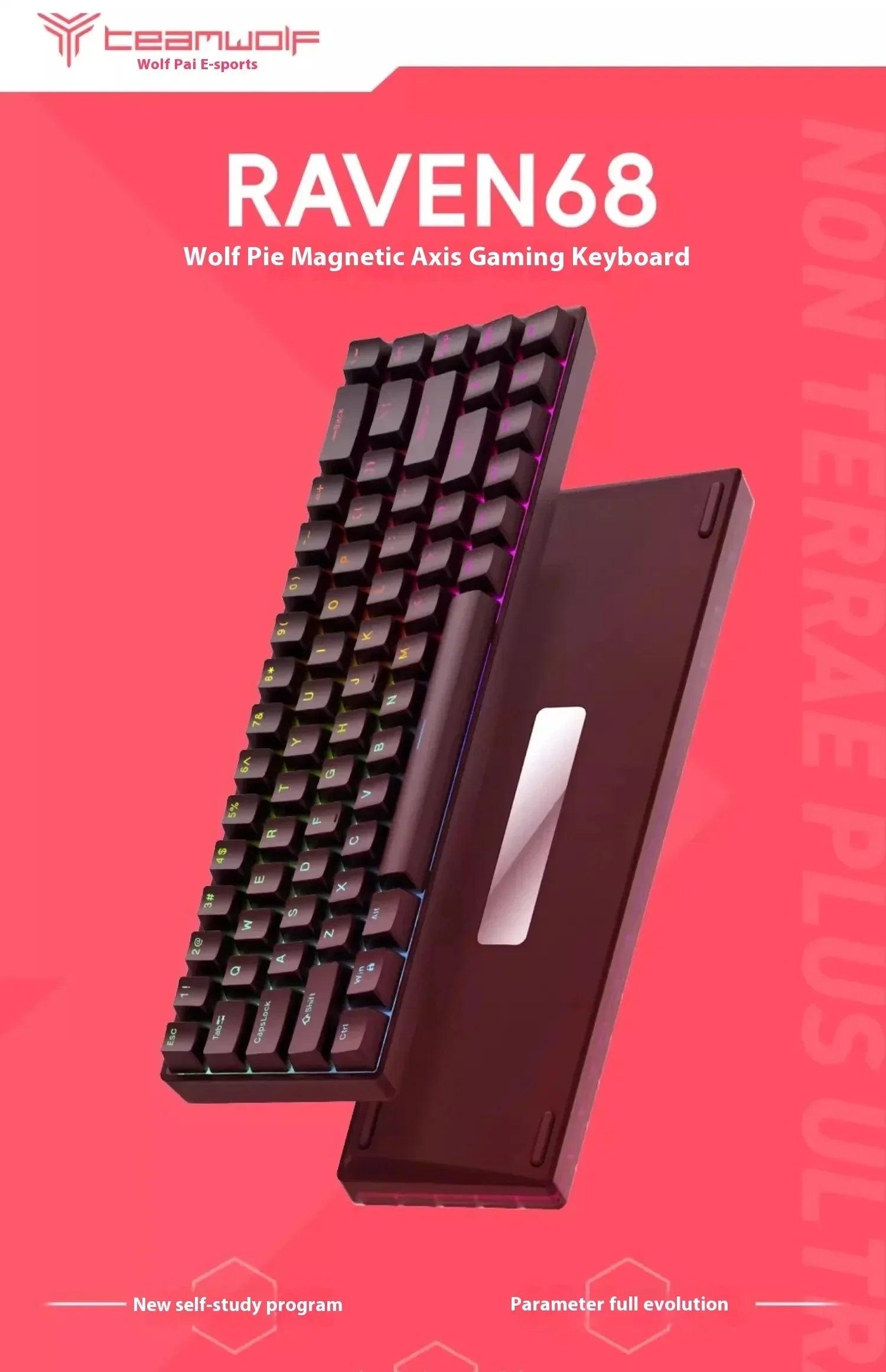 Teamwolf Raven68 wired magnetic switch mechanical keyboard 8k quick trigger RGB backlit e-sports PC game custom keyboard Gift