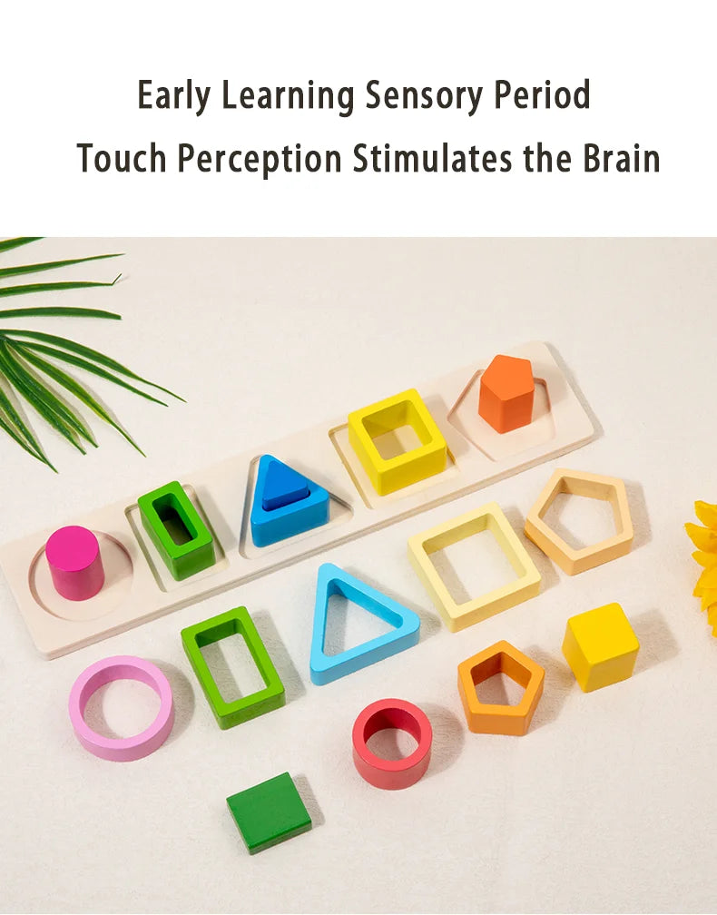 Bloques de desarrollo de inteligencia para bebés, juguetes de madera para combinar en la educación temprana, color y cognición de formas, educación Montessori