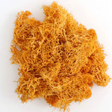 Artificial Green Plants Eternal Life Moss DIY Crafts Grass Garden Home Room Decor Mini Landscape Fake Grass 20/40/100g
