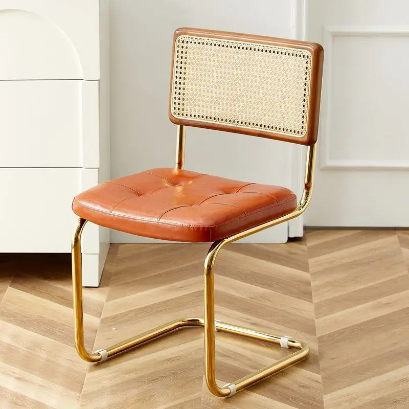 Mid-Century Modern Dining Chairs with Metal Frame, Multiple Styles Leisure chair for Kitchen, Living Room, Office , Muebles