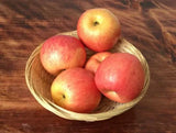 Vegetable Food Storage Basket Bread Fruit Desktop Decoration Kitchen Storage Tray Supplies Round Dustpan Decorative Egg Basket
