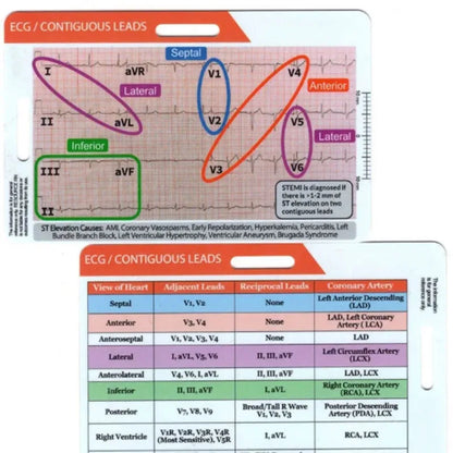 ECG 7 Step Ruler, Ruler Card for ECG/EKG Interpretation, Portable Pocket ECG EKG Reference Guide with Sheath, Emergency tool