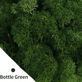 Artificial Green Plants Eternal Life Moss DIY Crafts Grass Garden Home Room Decor Mini Landscape Fake Grass 20/40/100g