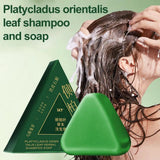 Shampoo Bar Platycladus Orientalis Natural Herbal Soap For Hair Loss Controls Oil Strengthens Root Shampoo Soap Hair Accessories
