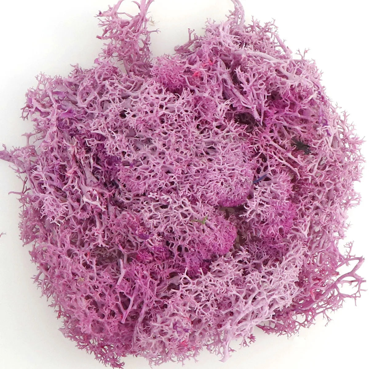 Artificial Green Plants Eternal Life Moss DIY Crafts Grass Garden Home Room Decor Mini Landscape Fake Grass 20/40/100g
