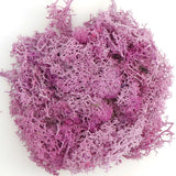Artificial Green Plants Eternal Life Moss DIY Crafts Grass Garden Home Room Decor Mini Landscape Fake Grass 20/40/100g