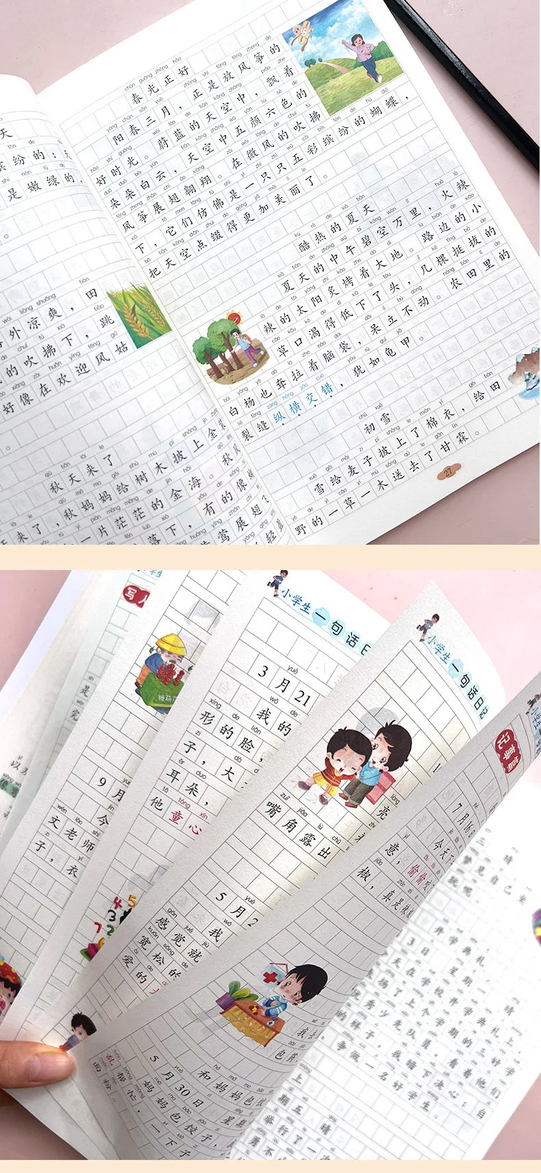 Primary School Students' Writing Training, Comprehensive Chinese Language Exercises