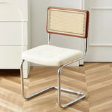 Mid-Century Modern Dining Chairs with Metal Frame, Multiple Styles Leisure chair for Kitchen, Living Room, Office , Muebles