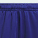 Adidas 2025 Men's PRO BLOCK SHORT Knitted Shorts IX1839