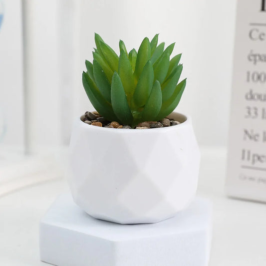 Plantas suculentas artificiales de bonsái, suculentas de simulación, mini bonsái perenne, cactus, suculentas de plástico, plantas falsas para decoración.