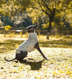 Fashion White Fleece Sleeveless Sweatershirt for Whipbit Spring Warm Jumpsuit for Italian Greyhound Mid Dogs Thick Autumn Vest