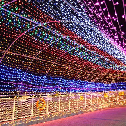 Guirnalda de luces LED de 10 m, 30 m, 50 m y 100 m, para decoración de árbol de Navidad, bodas, luces de hadas impermeables para interior y exterior, 220 V, UE. 