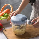 Kitchen Householde Manual Garlic Press Multi-function Grinding Chopper Food Vegetables Cutter Meat Kitchen Gadgets Masher Tool