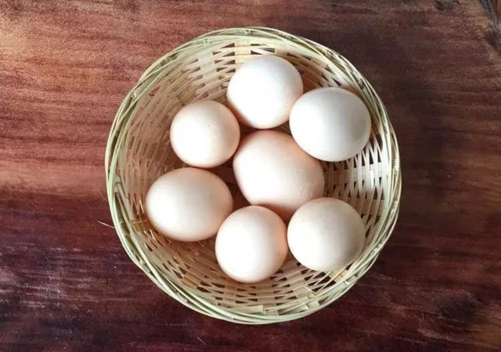 Vegetable Food Storage Basket Bread Fruit Desktop Decoration Kitchen Storage Tray Supplies Round Dustpan Decorative Egg Basket