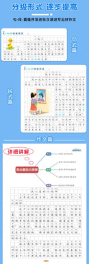 Primary School Students' Writing Training, Comprehensive Chinese Language Exercises