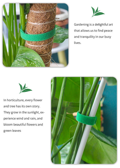 Brida de nailon para jardín, reutilizable, con cierre de velcro, para plantas, flores, trepadoras y en crecimiento.