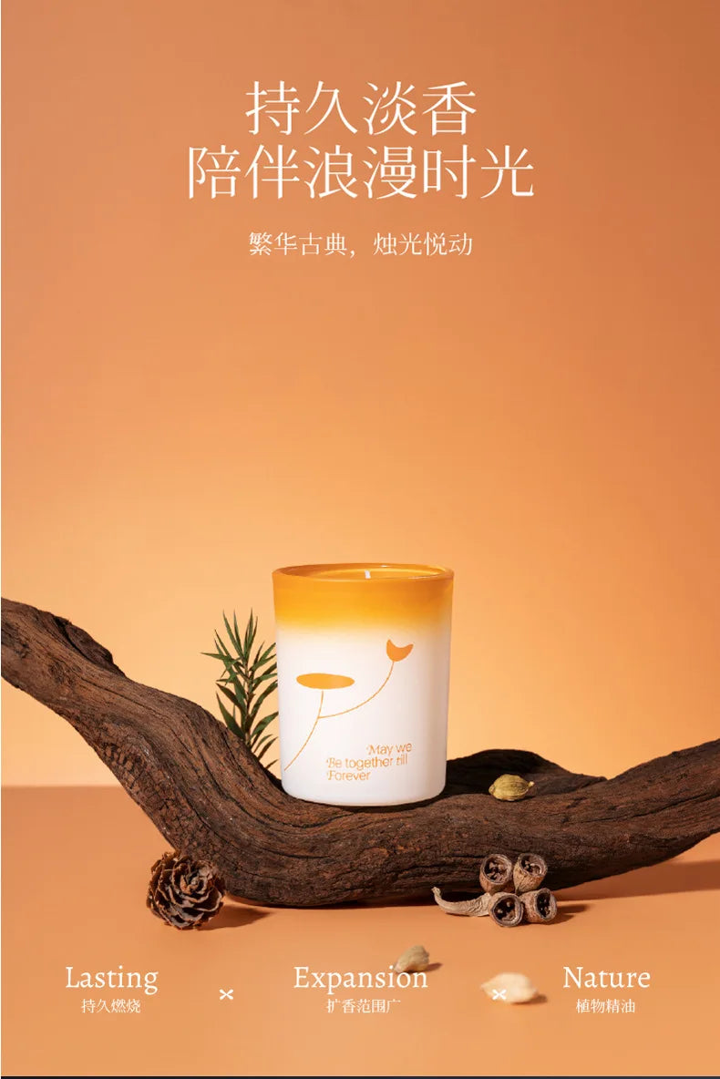 Aromatic Jar Candles for Room Decor, Ebony Sandalwood Scented Candle, Guest Gift Souvenir Candles