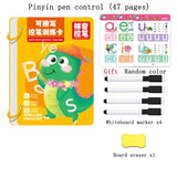 Montessori Drawing Book Reusable Magic Children Practice Copybook Control Training Book Magical Tracing Workbook